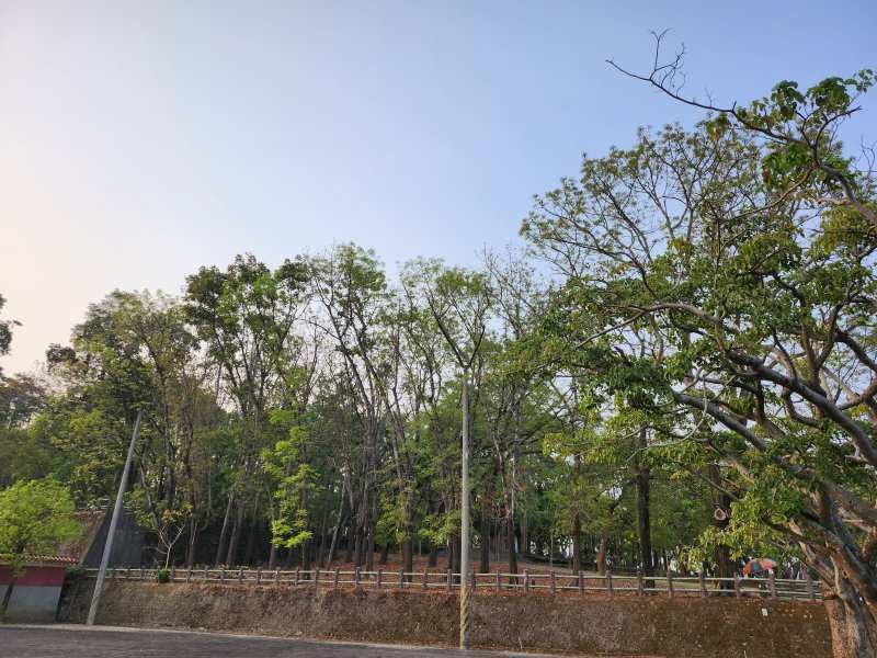 總統賴清德：再生醫療邁向新時代 生醫產業有望成為下一座護國神山